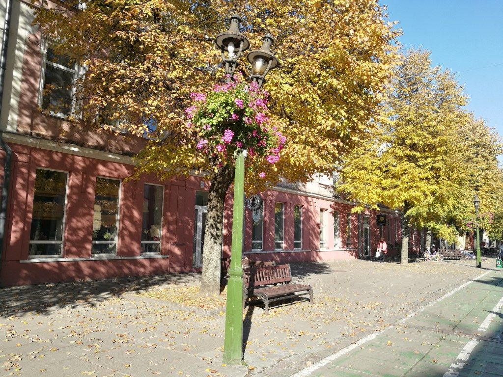 Une rue du centre ville de Kaunas