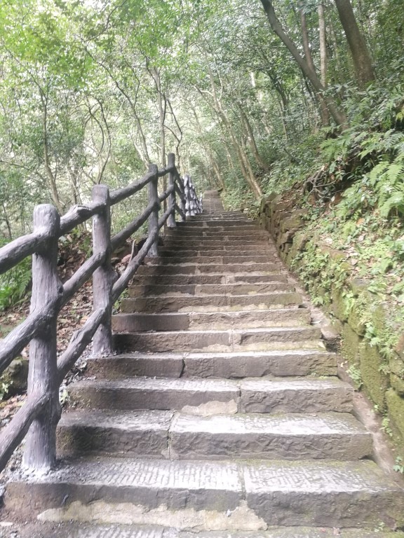 Les escaliers qui permettent de passer d'une zone du parc à l'autre
