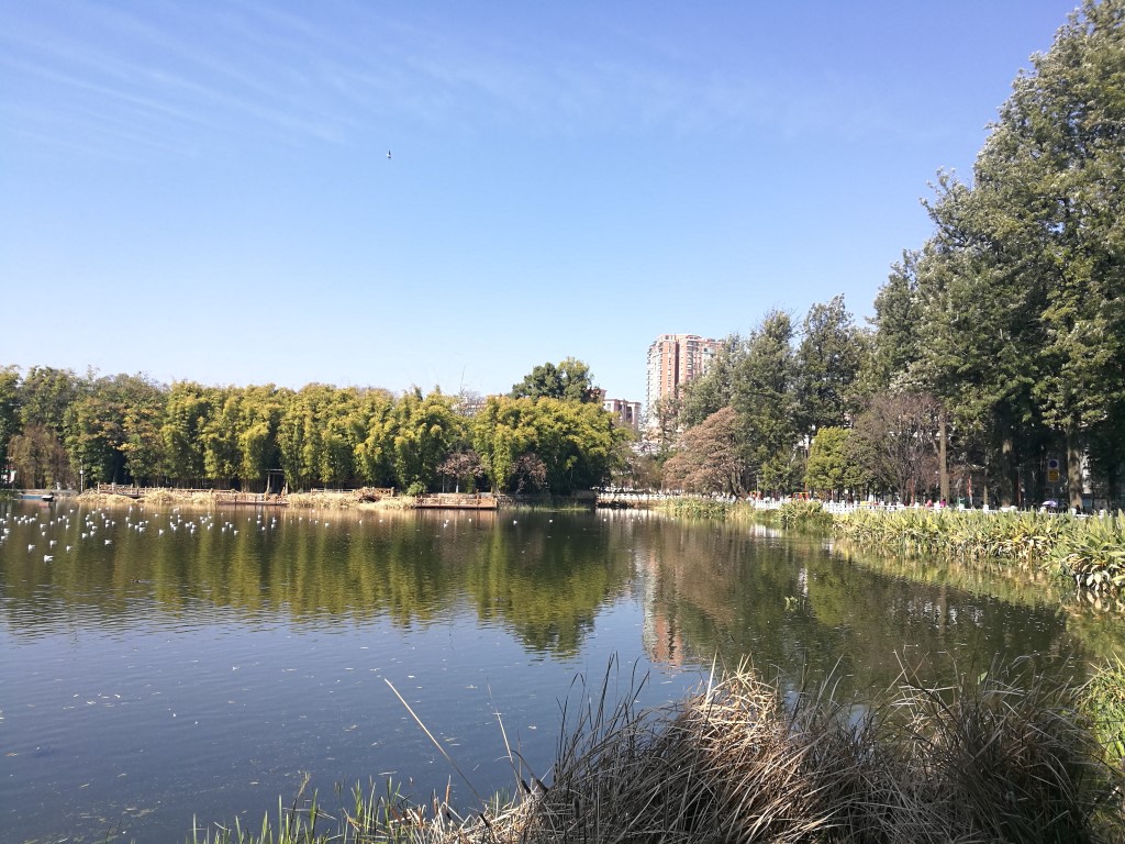 Le lac d'un des nombreux espaces verts de Kunming