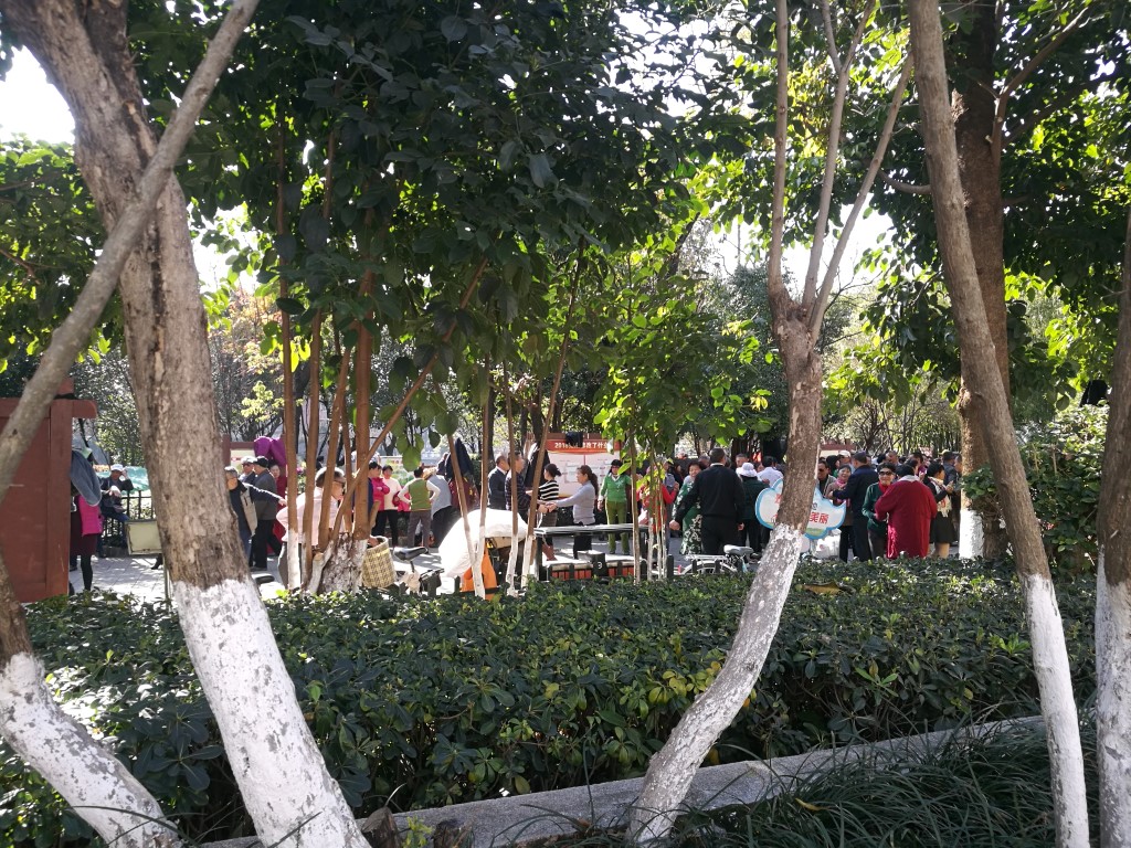 Un des nombreux parcs de Kunming, lieux de rassemblement et de vie sociale