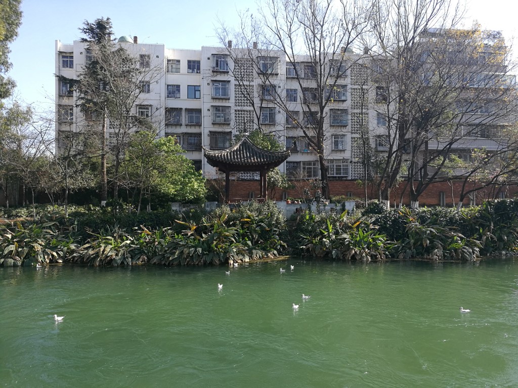 Une étendue d'eau dans un des parcs de Kunming