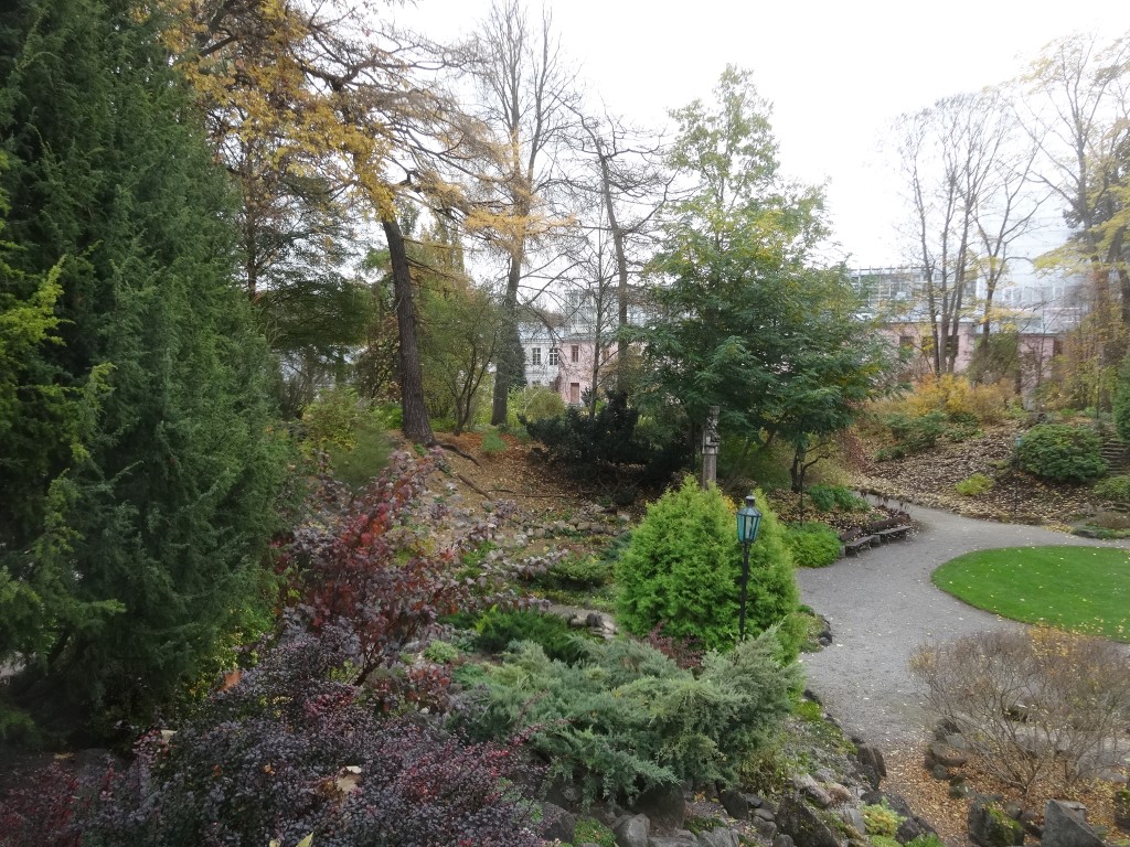 Le jardin botanique de Tartu