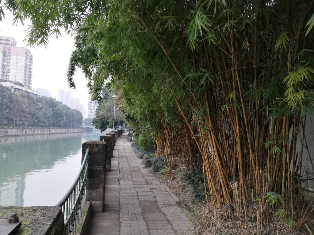 Balade dans Chengdu, capitale du Sichuan
